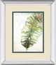 Classy Living Patricia Pinto Watercolor Plantain Leaves Il Wall Art-0