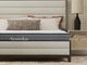 Valleydale Plush King Mattress-0