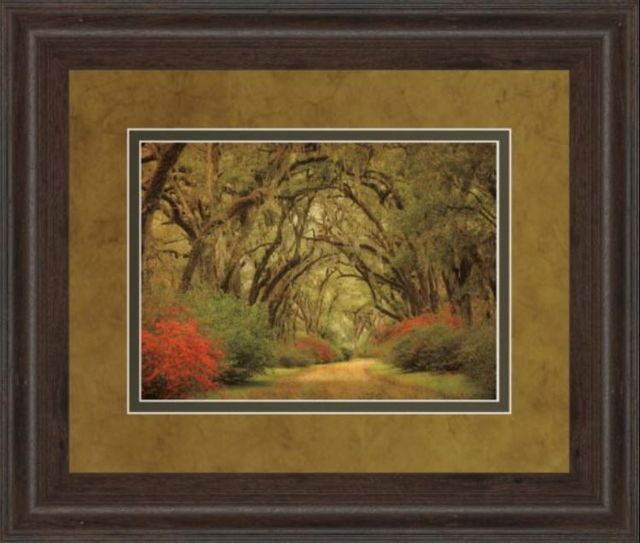 Classy Art Road Lined With Oaks and Flowers by William Guion and Mossy Oak Native Living Framed Print Wall Art-1