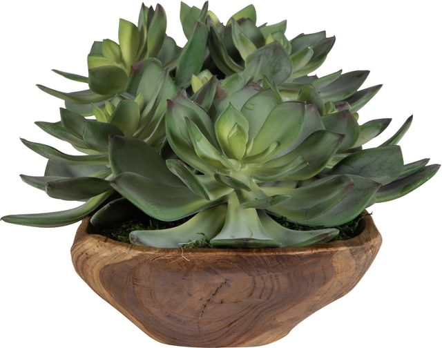 Uttermost® Yuma Brown/Green Succulent Centerpiece-3