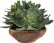 Uttermost® Yuma Brown/Green Succulent Centerpiece-3