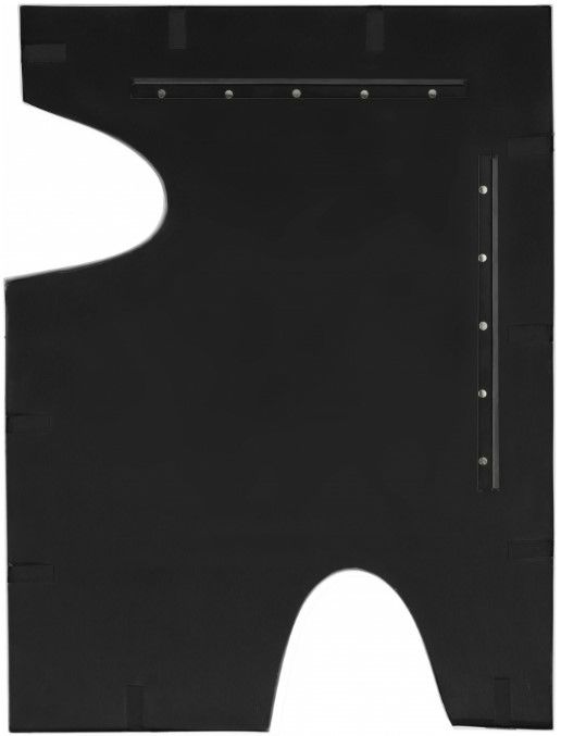 Meridian Furniture Soleil Black/Gold Mirror-2