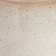 Signature Design by Ashley® Waldish Beige/Cream Table Lamp-3