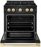 ZLINE Marino 30" Black Stainless Steel Pro Style Dual Fuel Range with 4-Burner DuoPro™ Cooktop and Electric Convection Oven and Polished Gold Accents-1