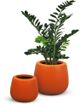 Le Present Belly Terracotta 19" Planter-3