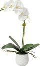 Uttermost® Cami White Orchid-0