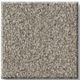 Shaw® Floors Simply The Best TruSplendor Lady Liberty Carpet-0