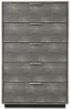 VIG Furniture Modrest Dynasty Dark Shagreen/Stainless Steel Chest-1