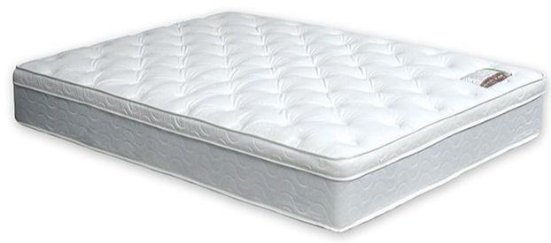 Furniture of America® Bird of Paradise Firm Hybrid Euro Pillow Top Mattress-California King-0