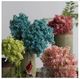 A & B Home Red French Hydrangea-1