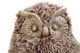 A & B Home Nickel Owl-1