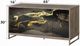 ACME Furniture Payo Black/Champagne Console Cabinet-2