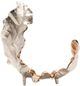 Crestview Collection Willow Two-Toned Medium Sculptural Leaf II-0