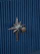 Furniture Classics Constellation Blue Chest-4