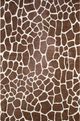 Dalyn™ Rug Company Akina AK4 Chocolate 5'x8' Area Rug-0