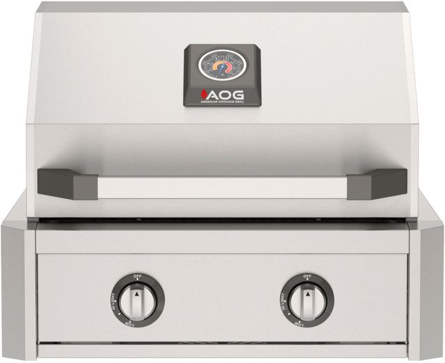 American Outdoor Grill T Series 2-Burner Stainless Steel Built-In Natural Gas Grill-0