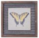 A & B Home 3-Piece Butterfly Wall Art Set-3