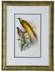 A & B Home 2-Piece Brown/Red/White Birds Wall Art Set-3