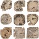 Uttermost® Bahati 9-Piece Light Bleached Wall Decor Set-0