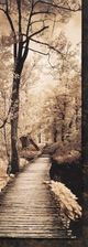 Stylecraft Quiet Stroll I Multi-Colored Wall Art-1