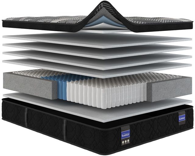 Spring Air® Back Supporter Francesca 13.5" Hybrid Plush Euro Top Full XL Mattress-2