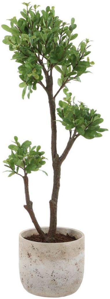 Uttermost® Arbor Aged Ivory Strawberry Tree-0