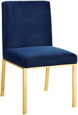 Navy-Gold