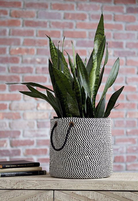 Signature Design by Ashley® Eider Black Basket-2