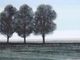 Stylecraft Norman Wyatt This Is the Day Wall Art-1