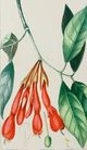 Stylecraft Green/Off-White/Orange Wall Art-1