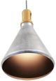 YHD Rolled Steel 1-Light Pendant-2