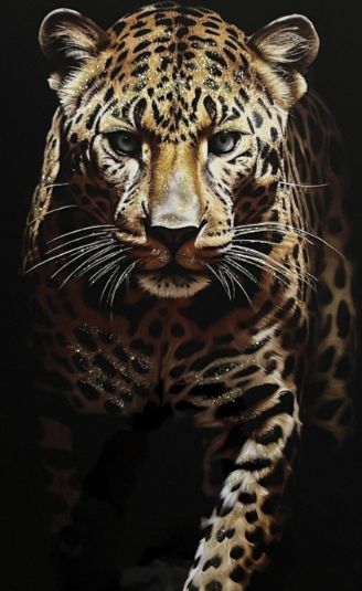 Classy Living Untamed Leopard Walking Double Frame Wall Art-1
