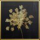 Stylecraft Lady Gold I Black/Gold Wall Art-1