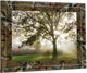 Classy Living Lee Frost Morning Calm Wall Art-3