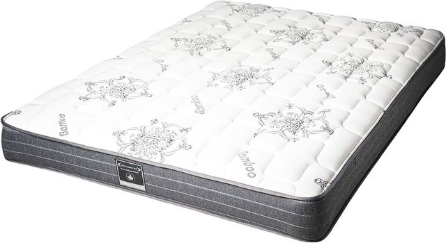 Dreamstar Bedding Classic Collection Orthopedic Deluxe 9" Hybrid Medium Tight Top Queen Mattress-0
