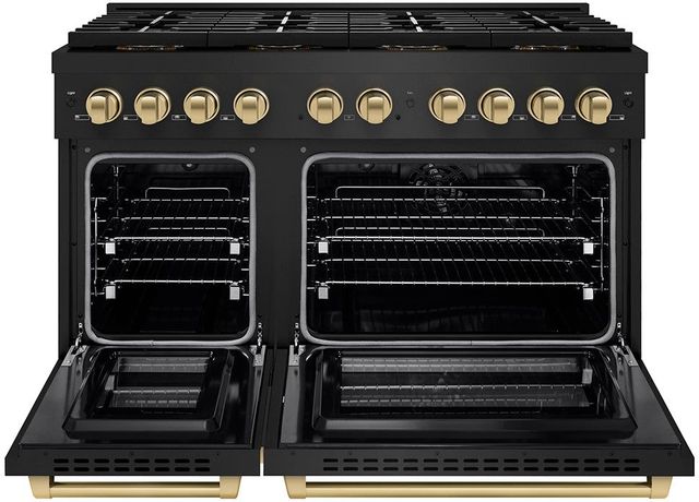 ZLINE Autograph Edition Paramount Series 48" Black Stainless Steel Pro Style Dual Fuel Range with Champagne Bronze Accents -1