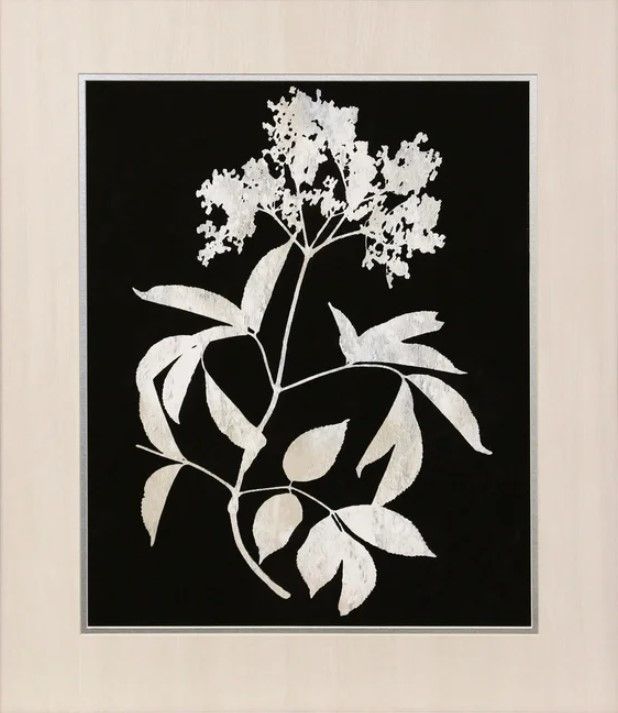 StyleCraft Nature White on Black Wall Art-1