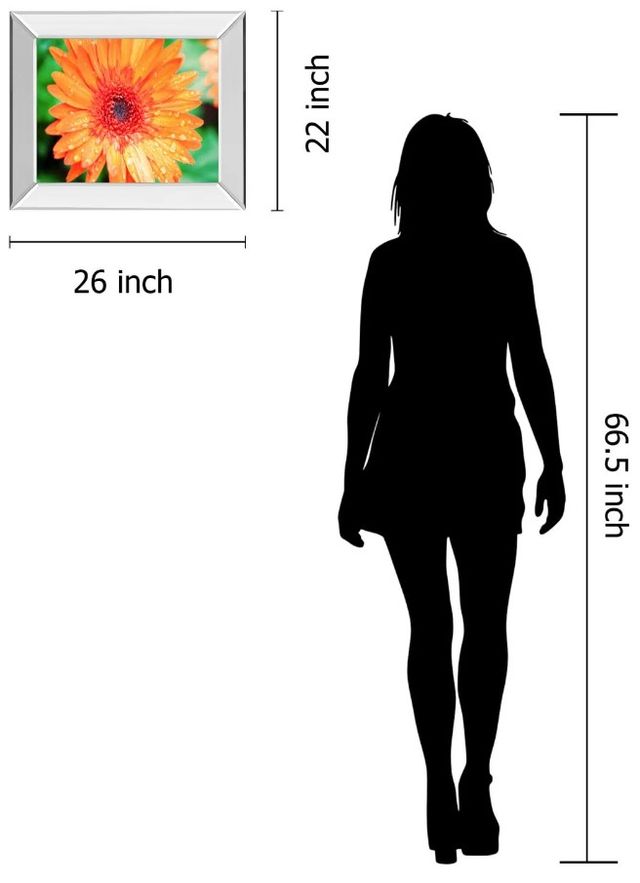 Classy Art Orange Gerbera by Susan Bryant Mirror Framed Wall Art-3