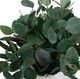 Uttermost® Essence Eucalyptus Gloss White/Green Accent and Vase-3
