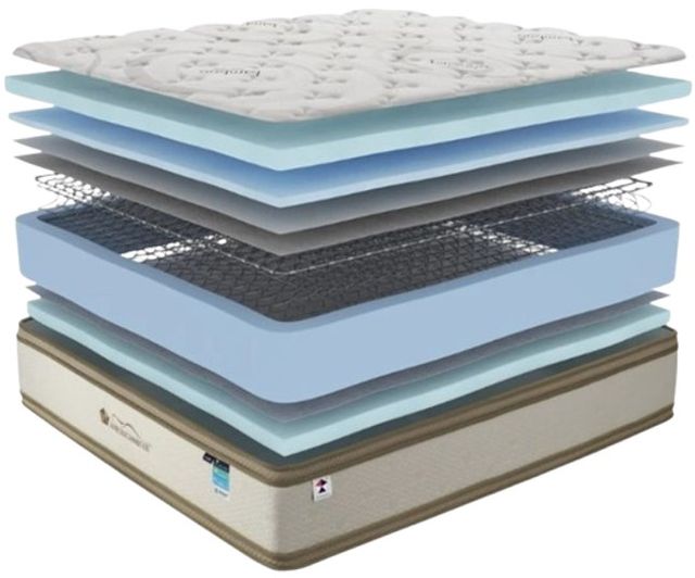 Martin Furniture & Bedding Dylan Lux Innerspring Plush Euro Top Queen Mattress-2