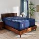 Sealy® Posturepedic® Elite Albany II Wrapped Coil 15" Plush Euro Pillow Top Full Mattress-1