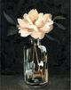 Classy Living Emma Caroline Dark Rose Arrangement I Wall Art-1