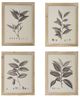 A & B Home Aba 4-Piece Beige/Gray/White Botanical Wall Decor Set-1
