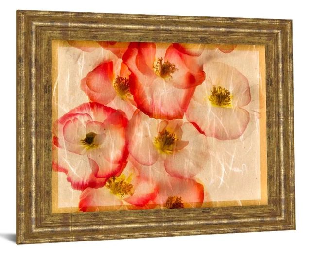 Classy Art Papaver Dreams III by Harold Davis Wall Art-1