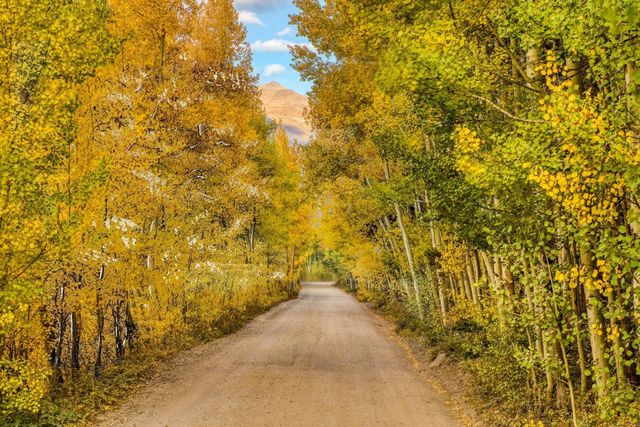 Aspen Road-0