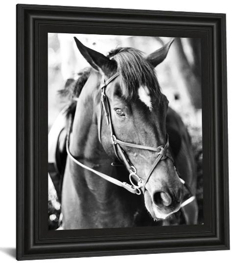 Classy Art Derby I by Susan Bryant Wall Art-1