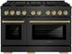 ZLINE Autograph Edition Paramount 48" 6.7 cu. ft. Black Satin Stainless Steel Dual Fuel Range with Champagne Bronze Accents-0