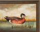 Stylecraft American Wigeon Wall Art-1