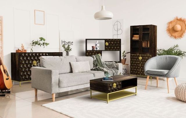 Jaipur Furniture Pintu Bronze Large TV Unit-1