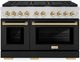 ZLINE Autograph Edition Paramount 48" Stainless Steel Pro Style Dual Fuel Range with Black Matte Door and Polished Gold Accents-0